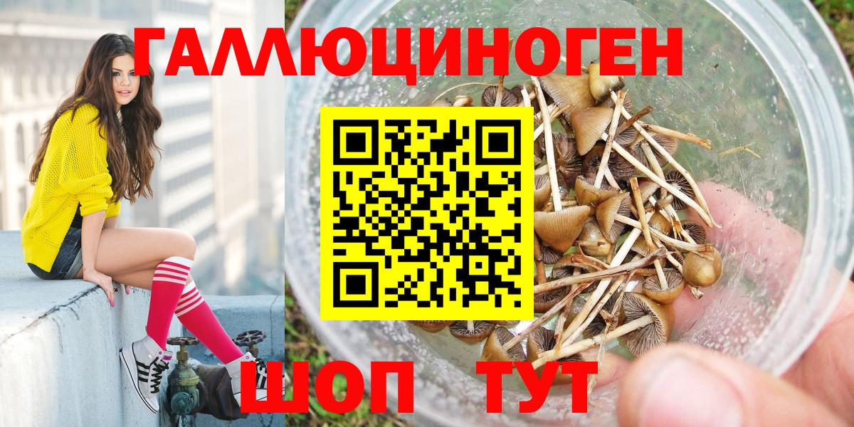 Керчь  Галлюциногенные грибы Psilocybine cubensis  Галлюциногенные грибы мухоморы  Вход с VPN 